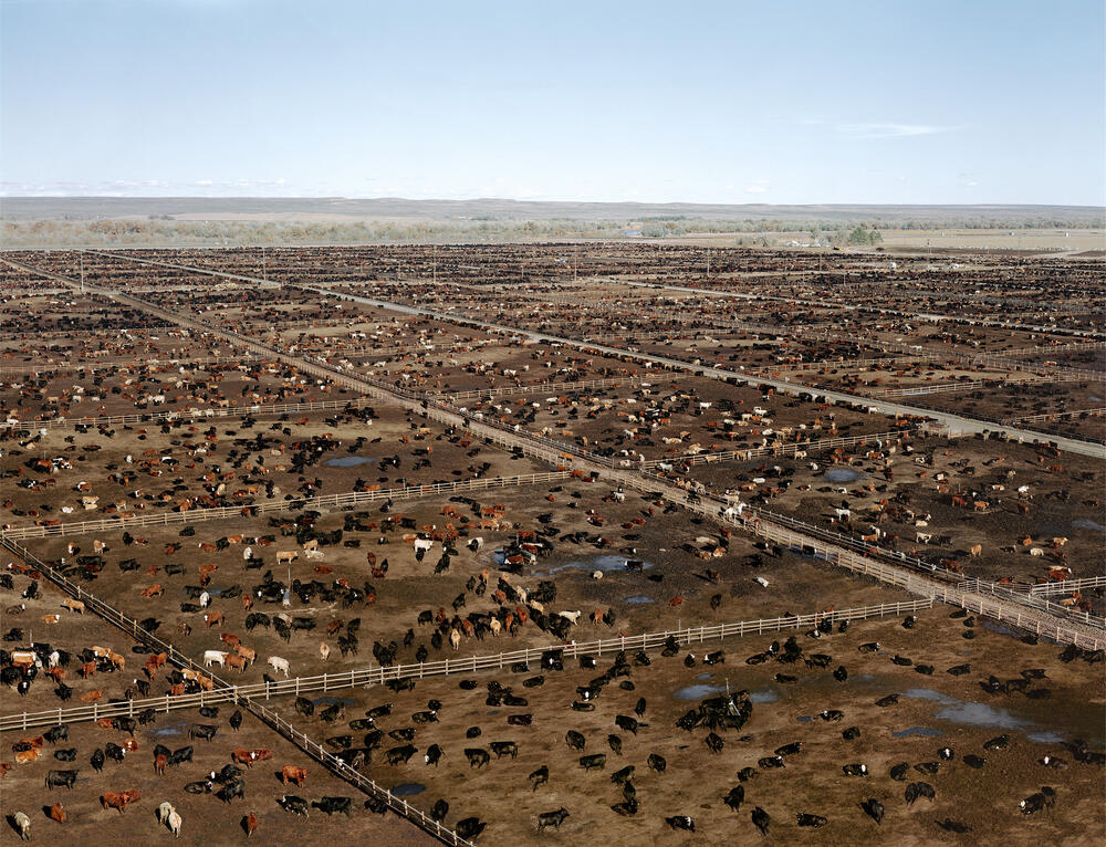 Andreas Gursky - Greeley