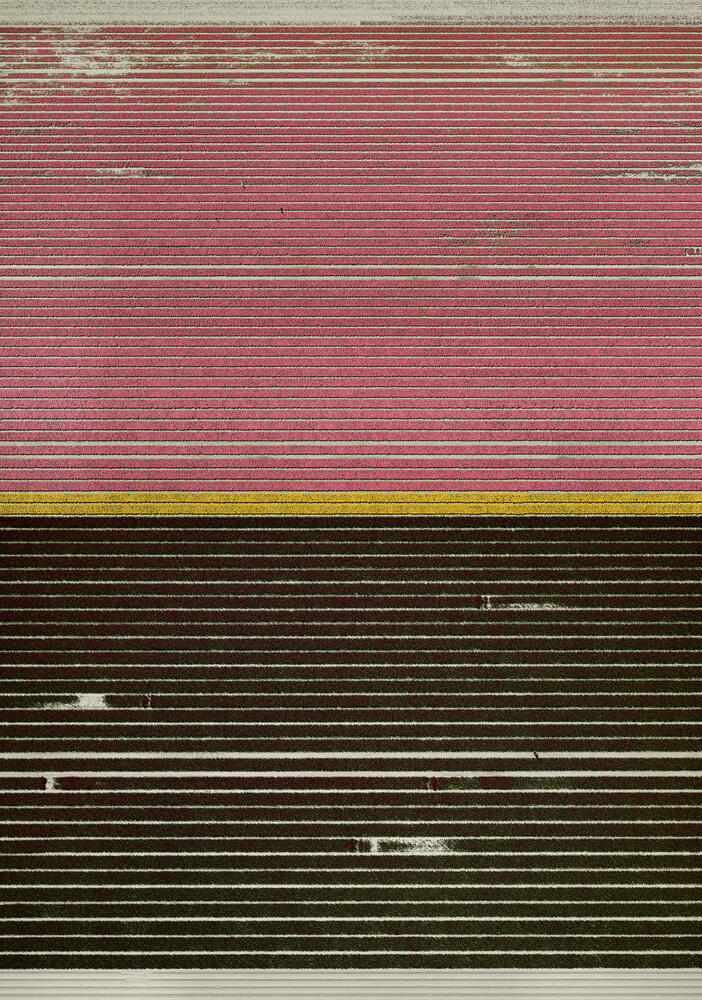 Andreas Gursky - Ohne Titel XXI
