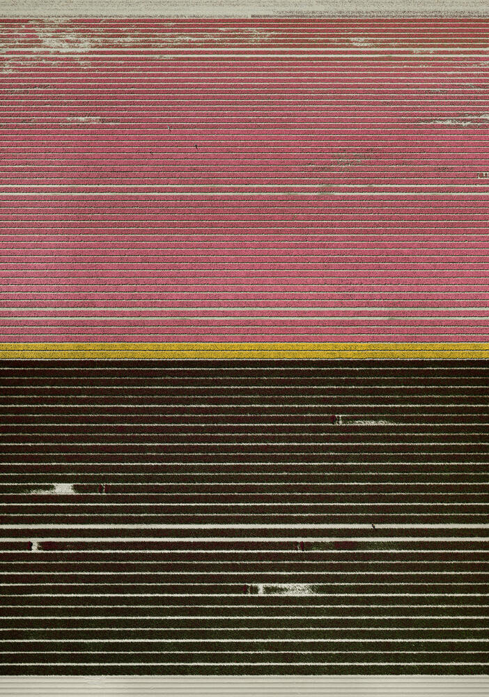 Andreas Gursky - Untitled XXI