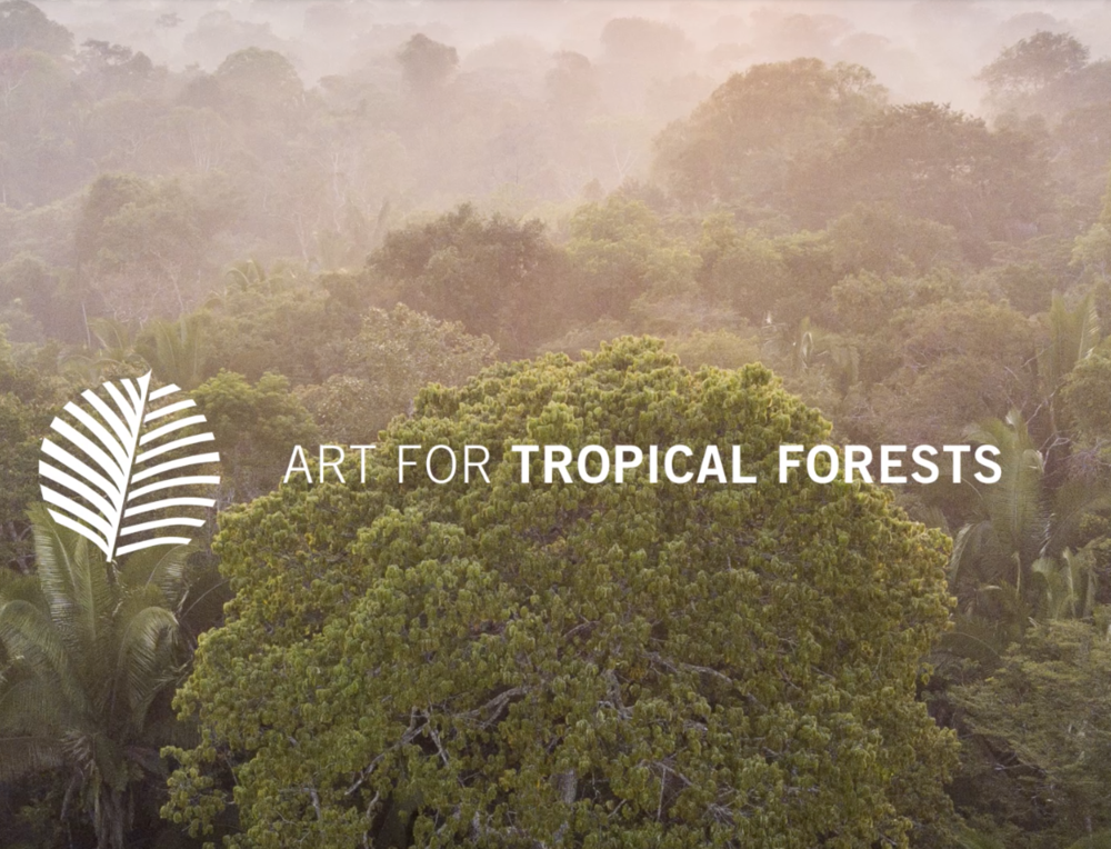 Art For Tropical Forests