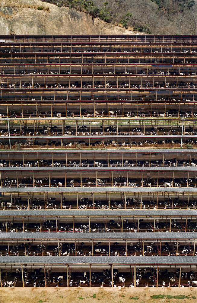 Andreas Gursky - Fukuyama