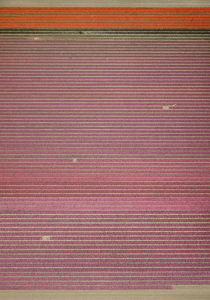 Andreas Gursky - Untitled XIX