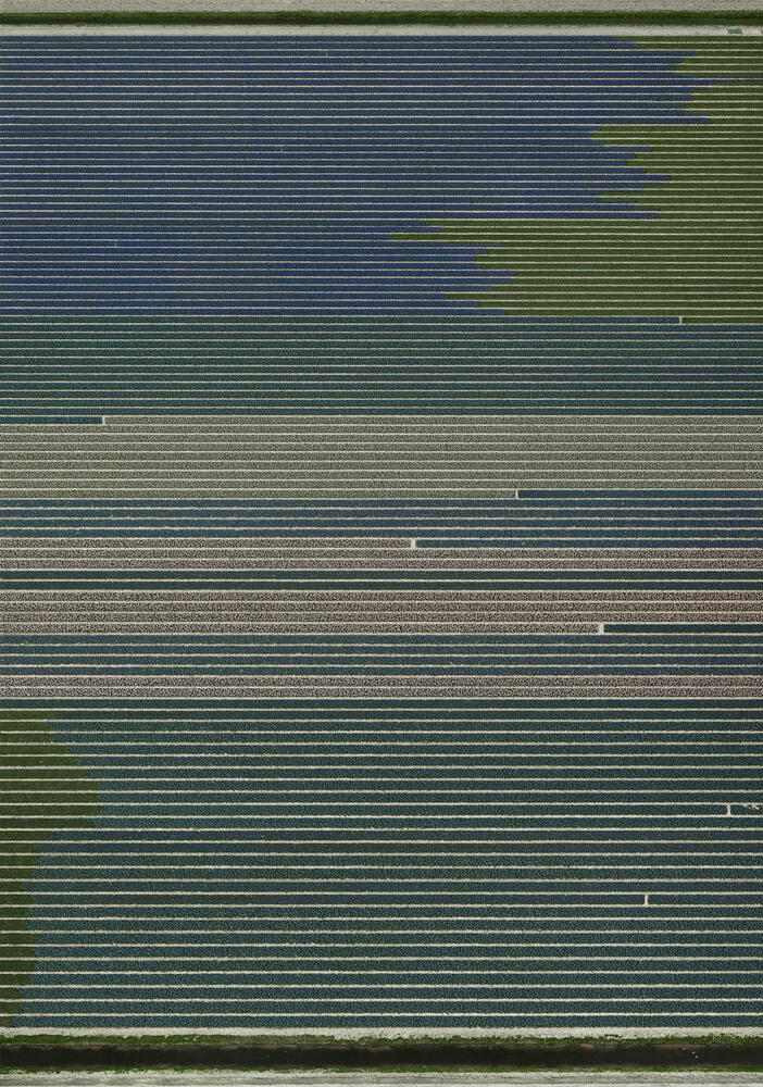 Andreas Gursky - Untitled XX